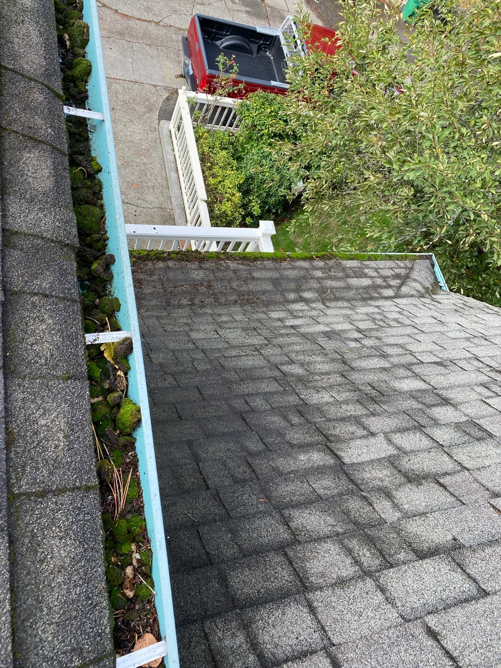 Before: a gutter full of leaves and built-up debris