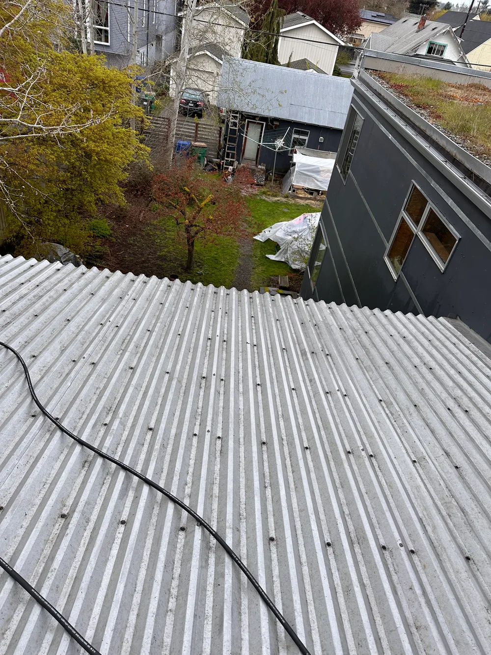 After: the corrugated metal roof cleared of leaves and debris