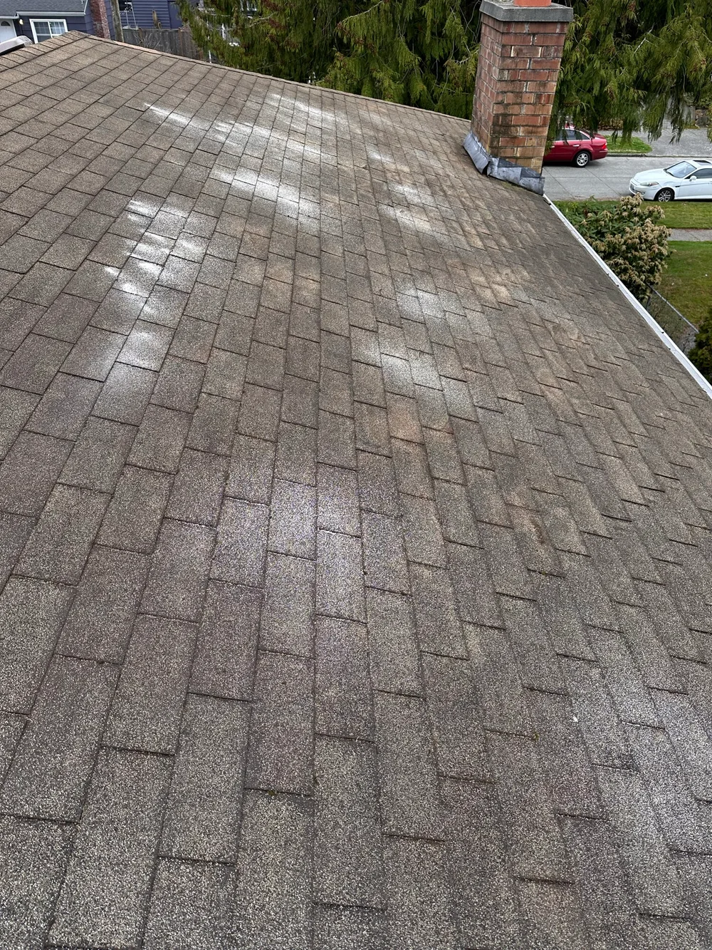 Asphalt roof cleaned by 3 Guys On A Roof