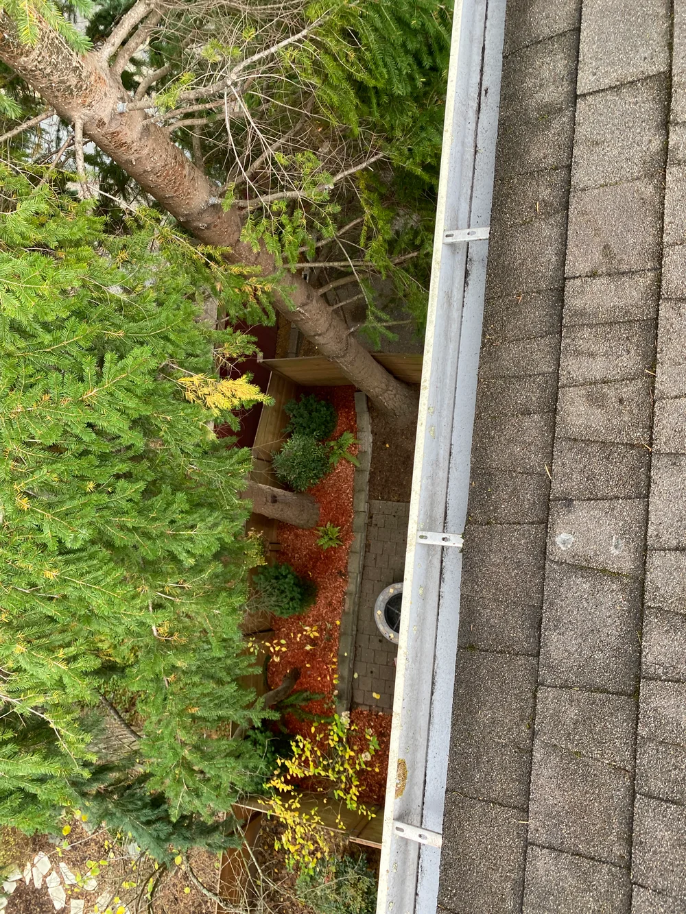 After: the same roof edge and gutter with moss and debris cleared away
