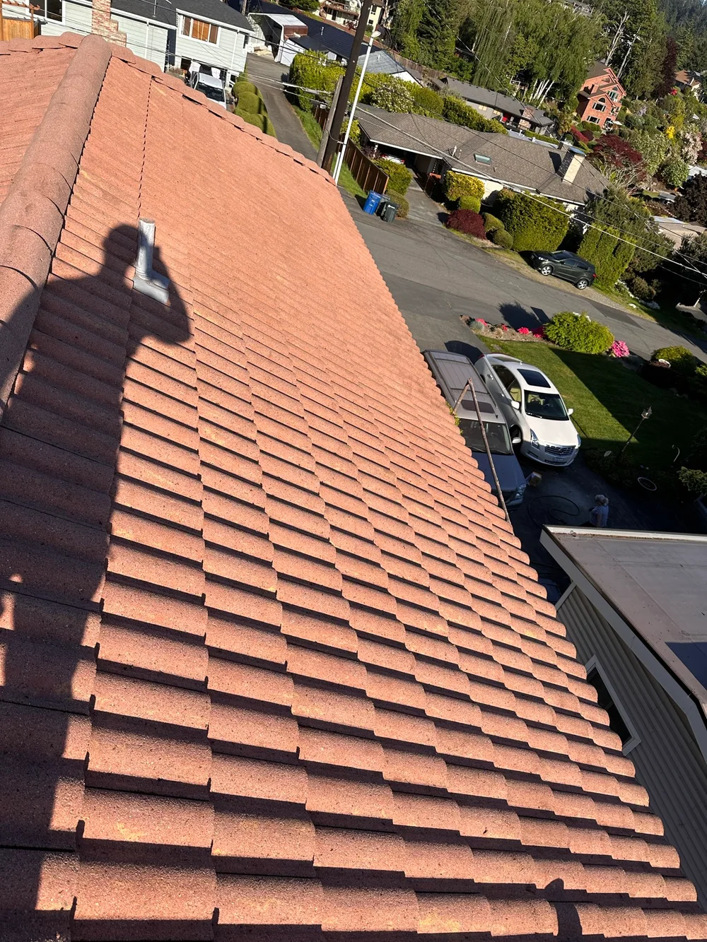 After: the red tile roof with the moss cleared away