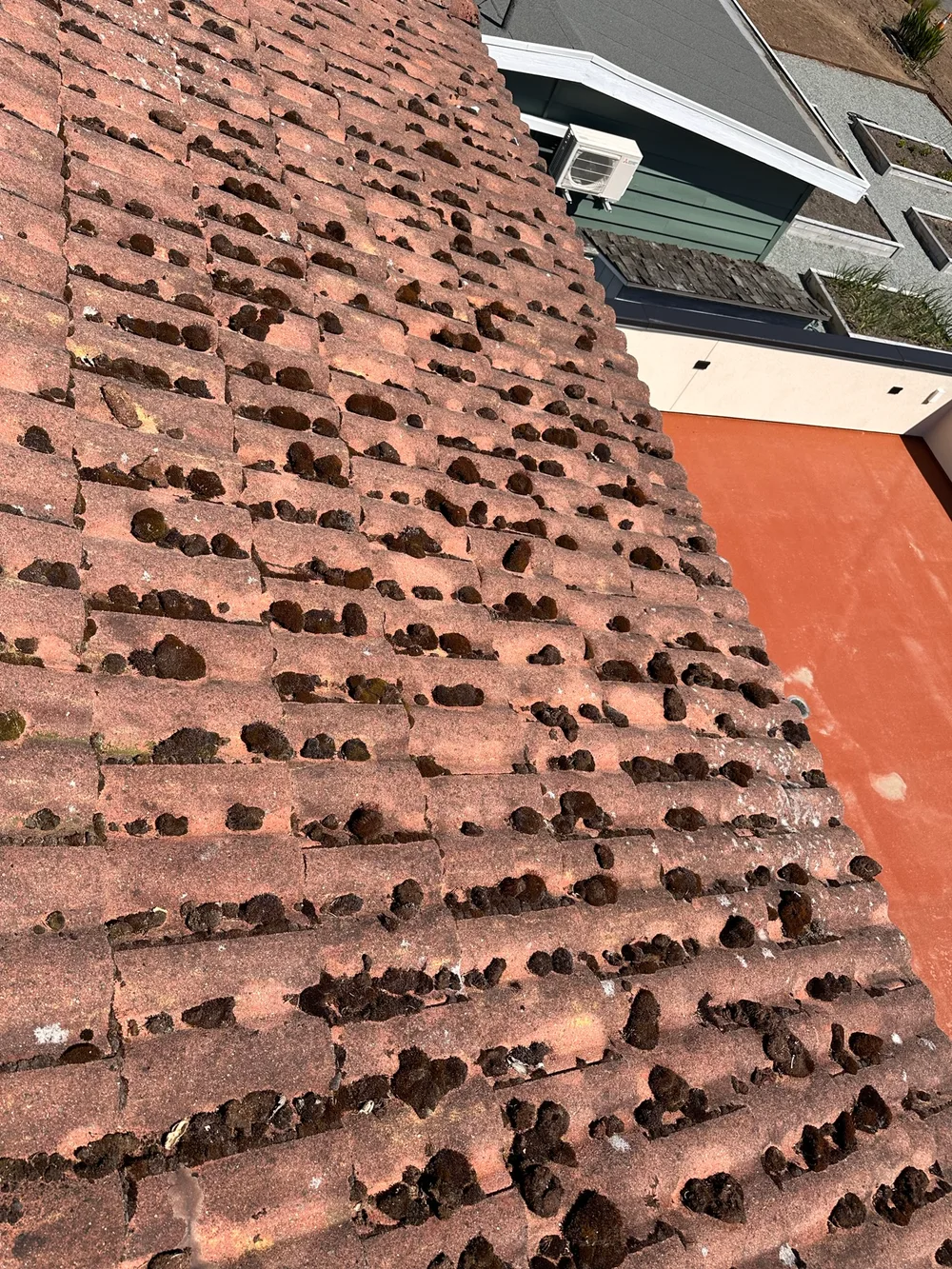 Before: moss growing across a red tile roof